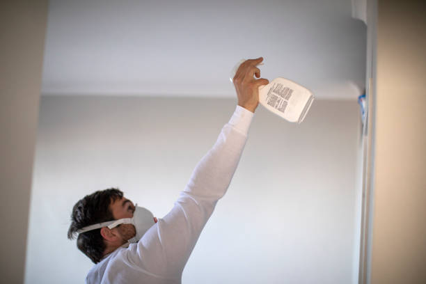 Best Local Mold Removal Service  in Bushland, TX