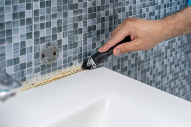 Best Mold Removal Company Near Me  in Bushland, TX