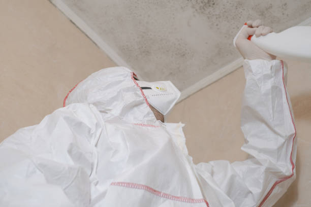 Best Water Damage Restoration  in Bushland, TX