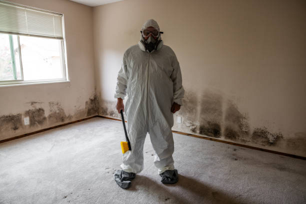 Best Home Mold Removal  in Bushland, TX